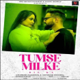 Tumse Milke Dil Ka Cover Mp3